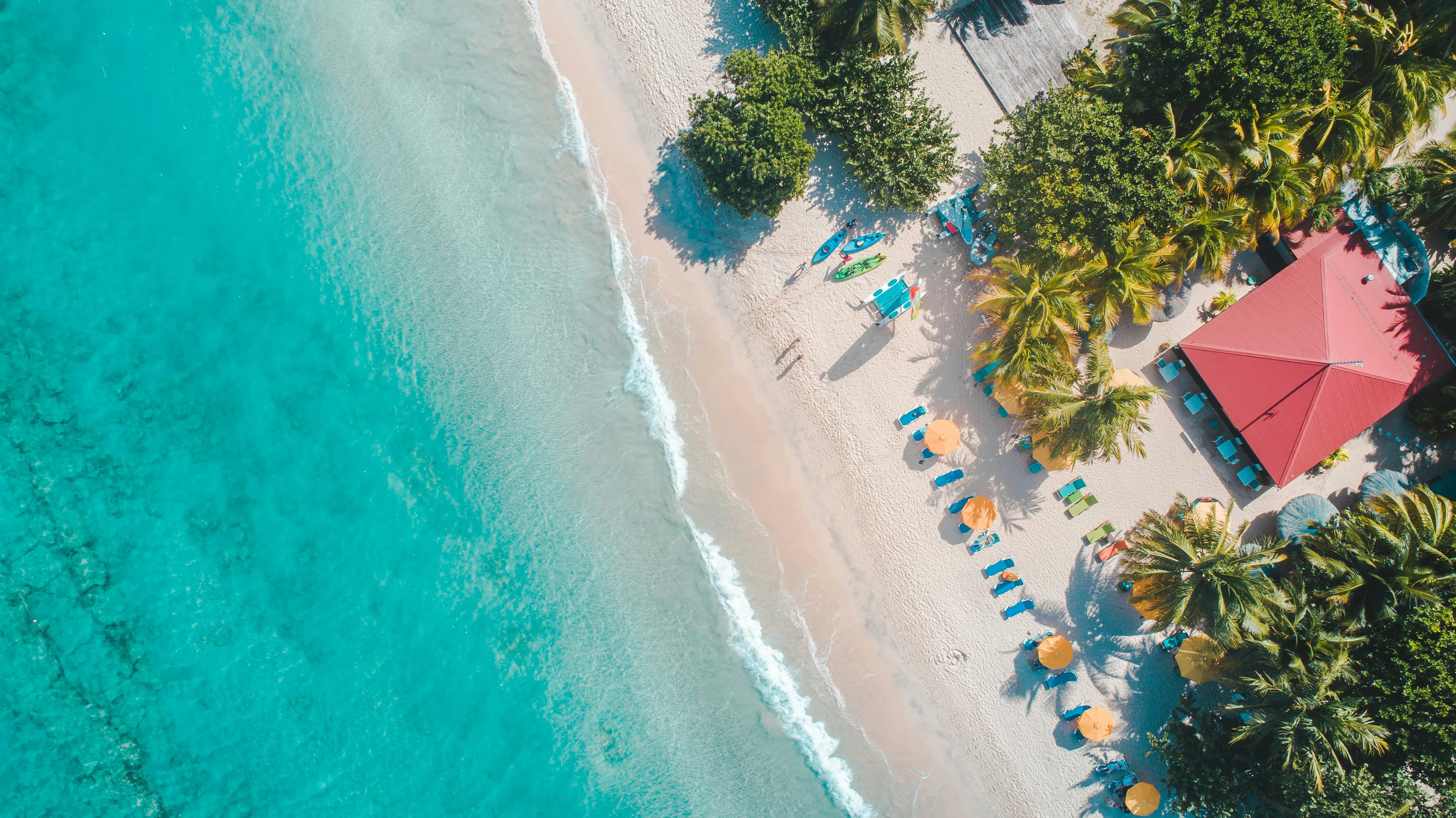 How a Healthcare Entrepreneur Secured Caribbean Citizenship in 90 Days
