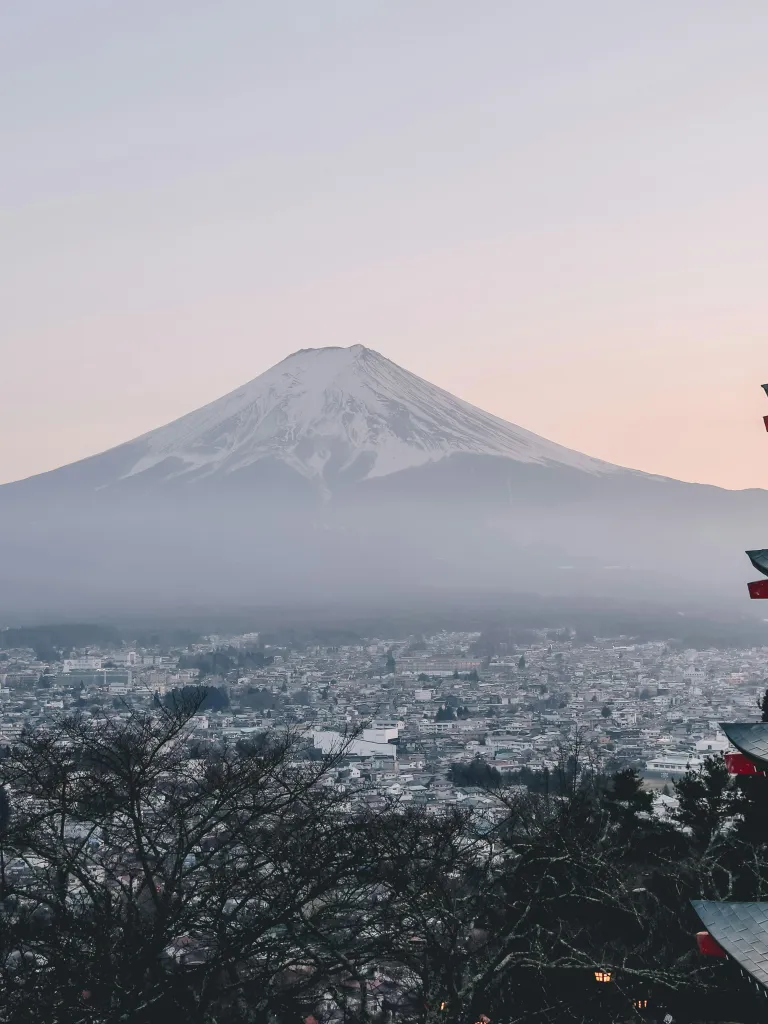 What's the Healthcare Like in Japan?
