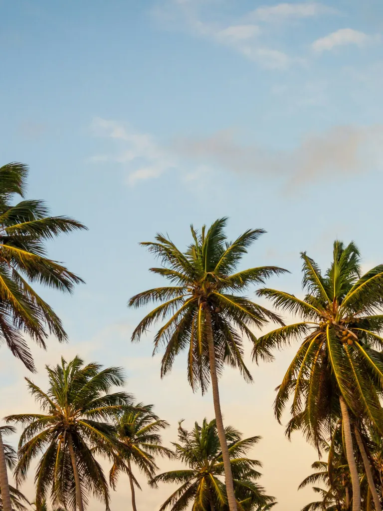 What's the Healthcare Like in São Tomé and Príncipe?