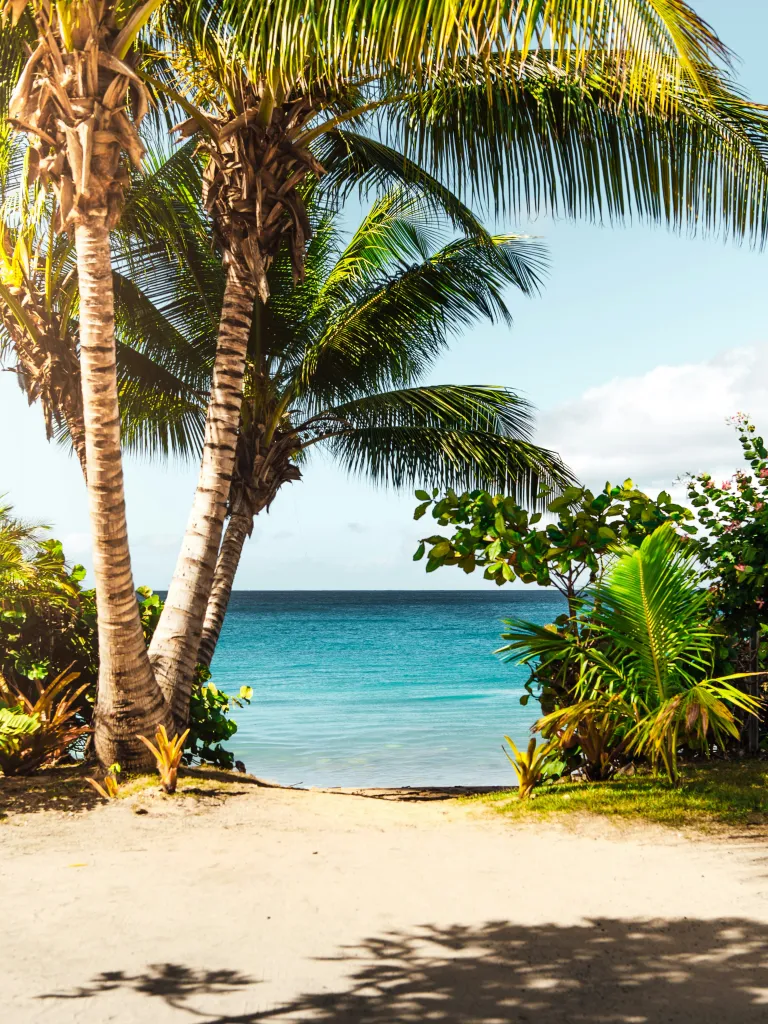 São Tomé and Príncipe - Key Indicators