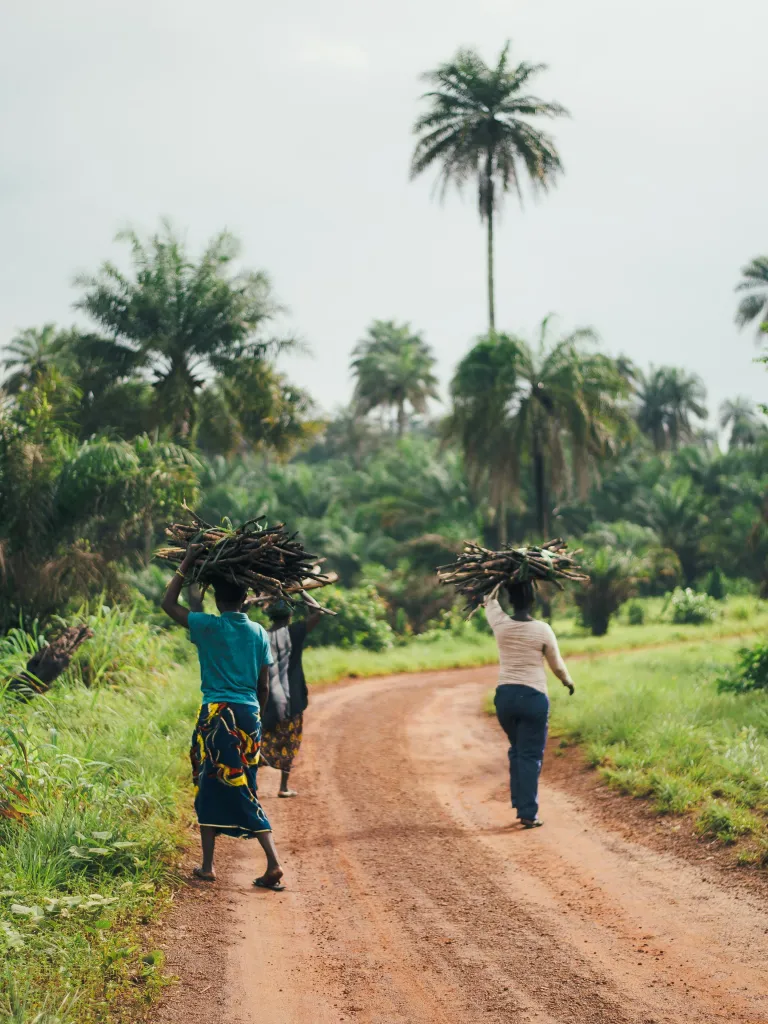Quick Facts about Sierra Leone