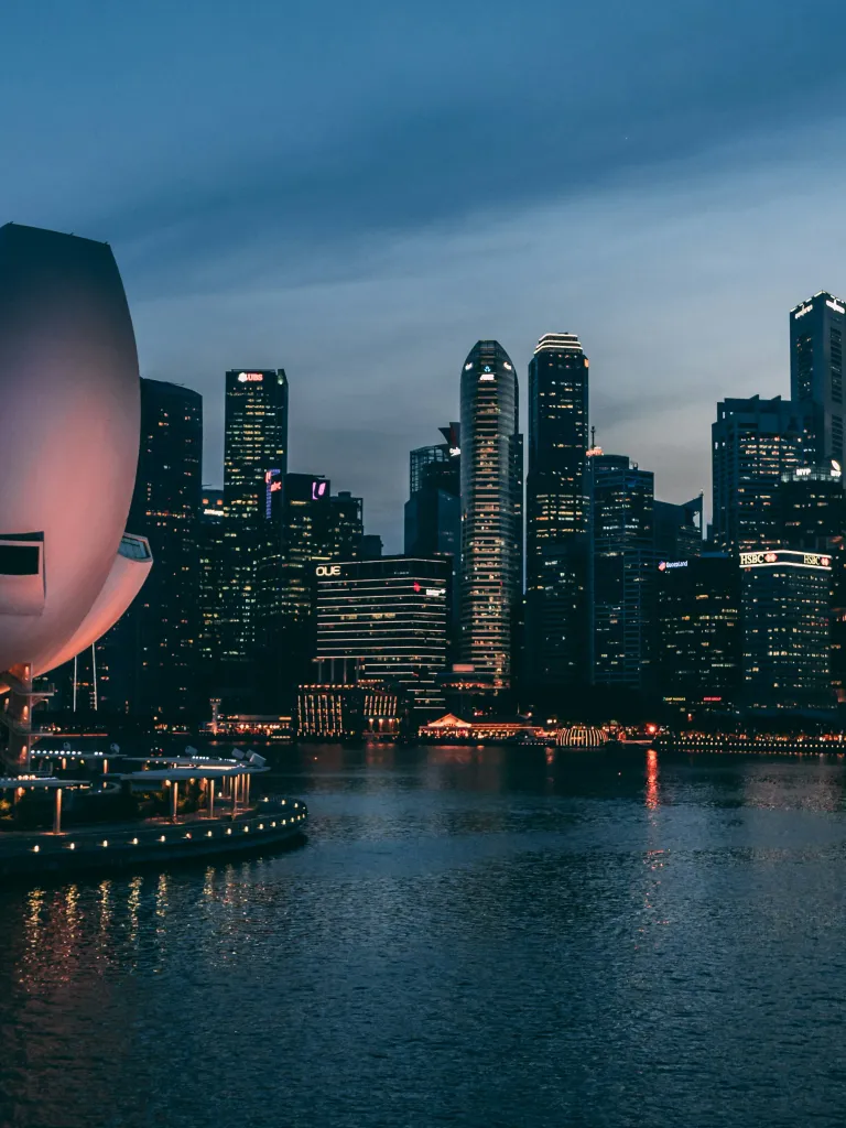 What's the Healthcare Like in Singapore?