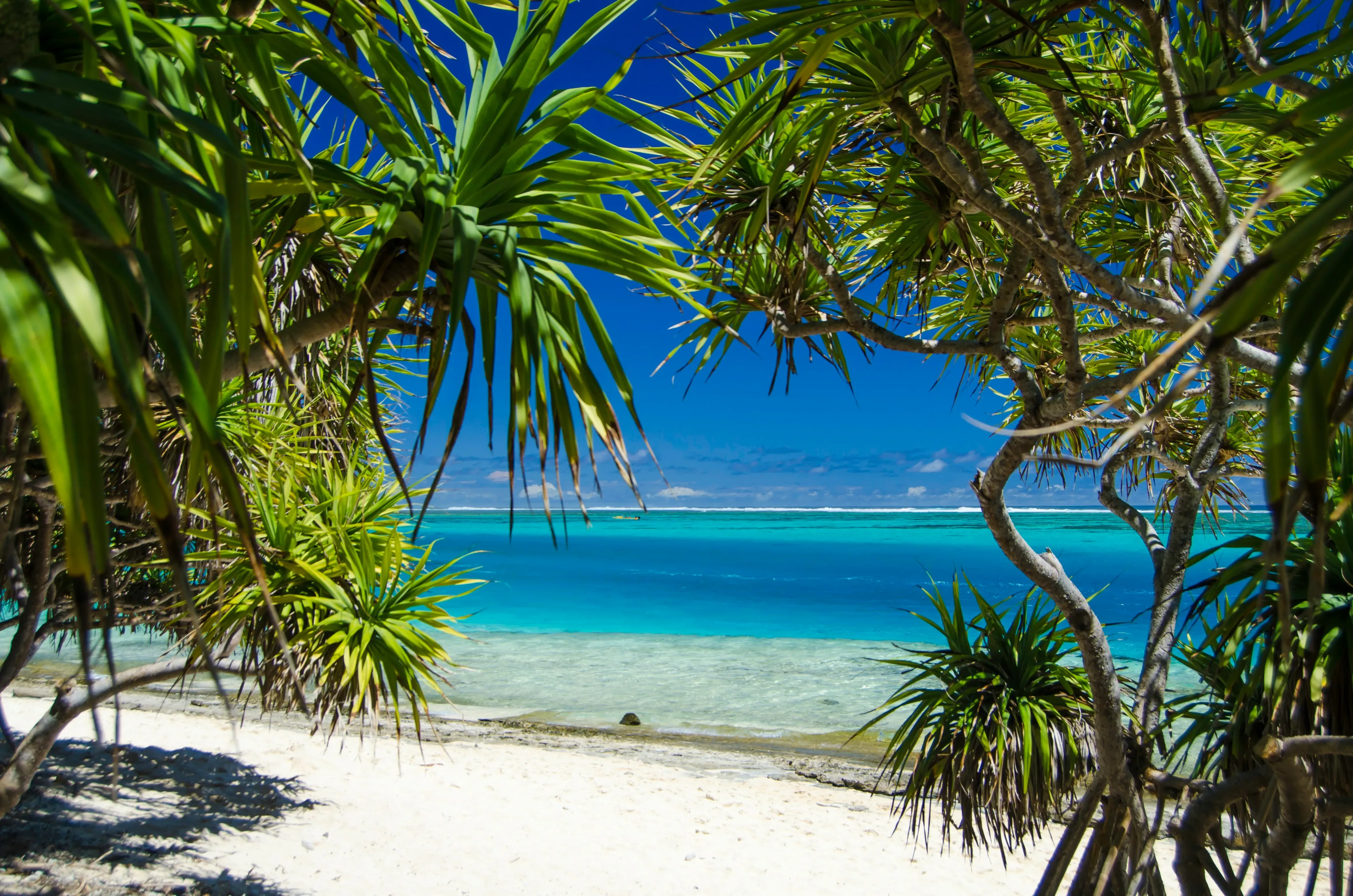 Vanuatu - Key Indicators