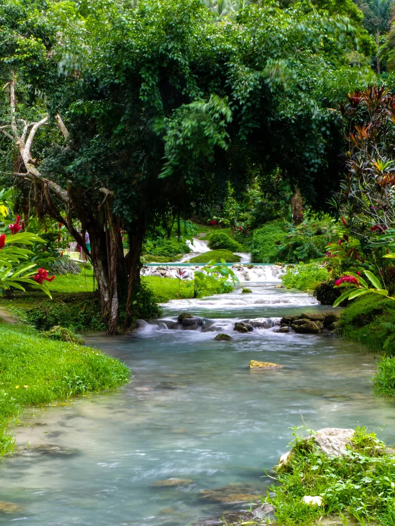What's the Healthcare Like in Vanuatu?