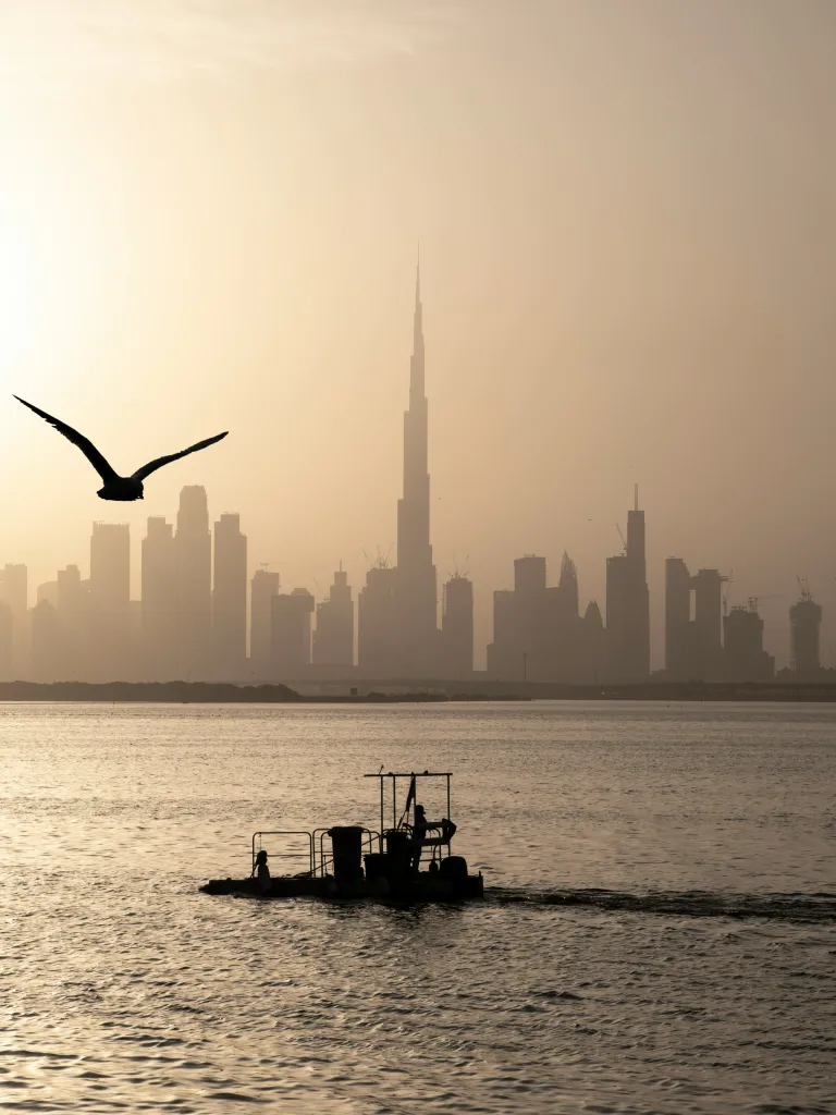 What's the Healthcare Like in United Arab Emirates?
